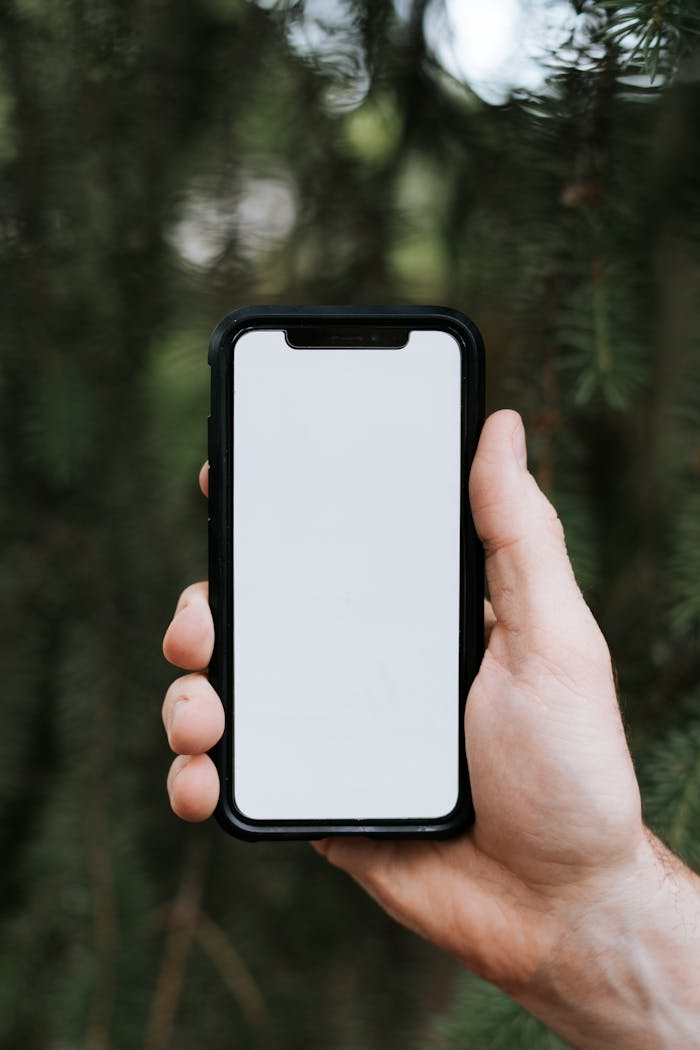 Pexels Photo 8490400